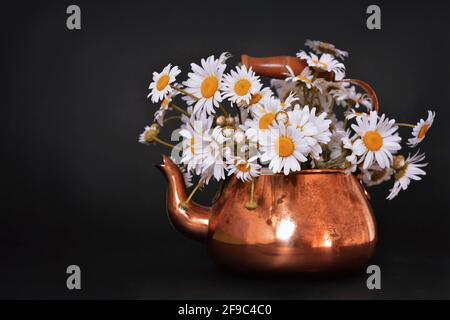 Blumen zum Muttertag. Gänseblümchen in einer Vintage-Kupfer-Teekannen auf dunklem Hintergrund Stockfoto