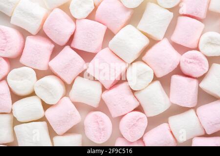 Mini-Sumpflandschaften in weißen und hellrosa Farben. Selektiver Fokus. Flach liegend. Stockfoto