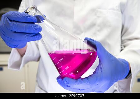 Wissenschaftler in einem Labor, das einen Messkolben mit einer violetten Chemikalie hält. Titrationsanalyse Stockfoto