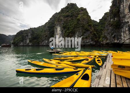 Ruderboote für Touristen in der Ha Long Bay von Vietnam Stockfoto