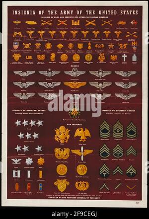Ein amrikanisches Diagramm aus dem 2. Weltkrieg, das die Asignien der USA zeigt Armee Stockfoto