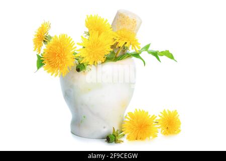 Konzept einer alternativen Medizin - frische gelbe Delelionen in Der Marmormörtel auf weißem Hintergrund isoliert Stockfoto