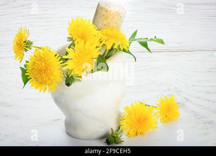 Konzept der Naturmedizin - frische gelbe Delelionen in der Marmormörtel auf einem weißen Holztisch Stockfoto
