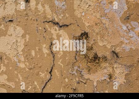 Beige Grunge Wandstruktur mit dunkelbraunen Flecken Stockfoto