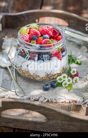 Beerenfrüchte und Joghurt mit Müsli im Garten. Abnehmen und gesunde Ernährung. Stockfoto