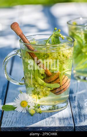 Heißer und gesunder Lindentee mit Honig. Tee im Garten. Stockfoto