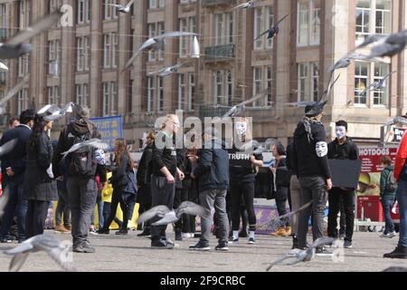 Anonymous für die Voiceless Animal Rights Organisation nehmen Aktivisten Teil Während des Cube of Truth Protestes vor dem Royal Palast am Dam Squar Stockfoto