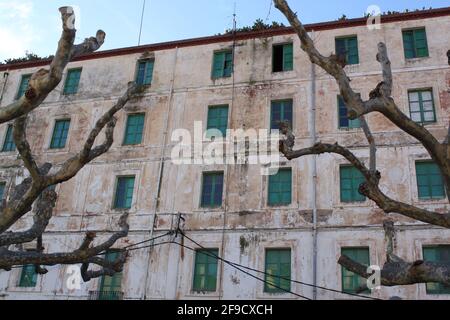 Wilde Zweige eines Platanenbaums greifen die façade Ein großes altes Gebäude mit grünen Fenstern Stockfoto