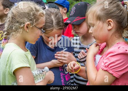 Kinder lernen mit einem ausgebildeten Naturforscher die Natur kennen Stockfoto