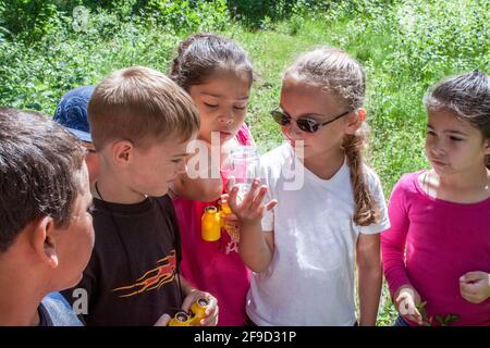 Kinder lernen mit einem ausgebildeten Naturforscher die Natur kennen Stockfoto