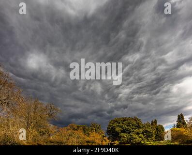 Dramatischer Himmel mit grauen Sturmwolken über RHS Garden, Wisley, Surrey, Südostengland im Frühjahr vor starkem Regen Stockfoto