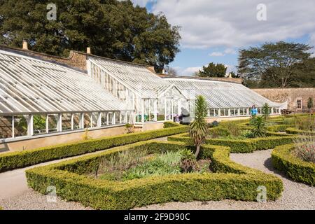 Vinothek Gewächshäuser, das in der ummauerten Gärten von Fulham Palace, das historische Haus und Gärten des Bischofs von London am Bishop's Avenue, Fulham, London Stockfoto