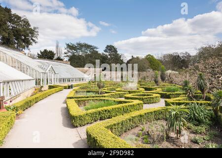 Vinothek Gewächshäuser, das in der ummauerten Gärten von Fulham Palace, das historische Haus und Gärten des Bischofs von London am Bishop's Avenue, Fulham, London Stockfoto