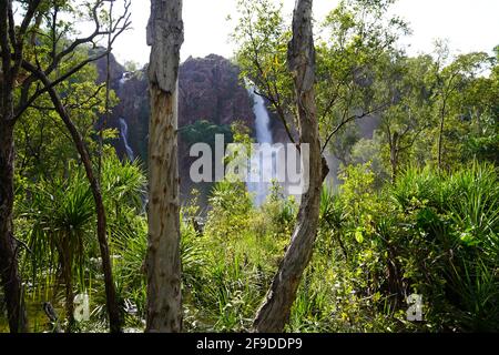 Ein schöner Wasserfall im Litchfield National Park, Australien Stockfoto