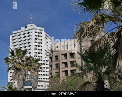 Moderne Bürogebäude, umgeben von Palmen Stockfoto