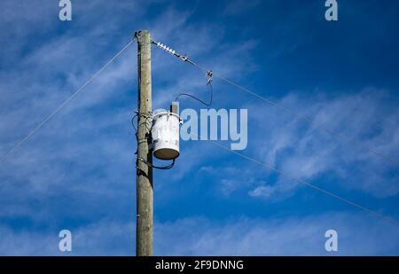 Ein hölzerner Strommast mit Transformator und Stromleitungen auf einem ländlichen Grundstück in Nordamerika. Stockfoto