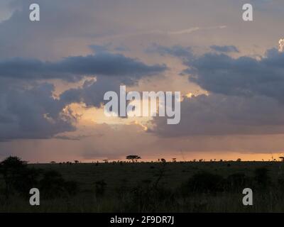 Serengeti-Nationalpark, Tansania, Afrika - 29. Februar 2020: Wolkiger Sonnenuntergang über der Serengeti Stockfoto