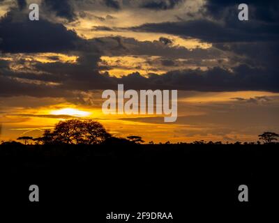 Serengeti-Nationalpark, Tansania, Afrika - 29. Februar 2020: Wolkiger Sonnenuntergang über der Serengeti Stockfoto