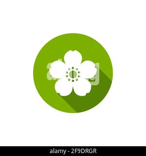 Weiße flache Ikone der Blume mit Schatten im grünen Kreis. Isoliert auf Weiß. Vektorgrafik. Umweltfreundlicher Style. Natur Blume Symbol. Stock Vektor