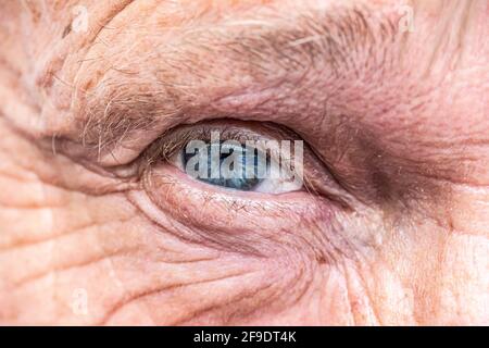 Nahaufnahme der Makroansicht auf dem blauen Auge eines lächelnden älteren Mannes. Stockfoto