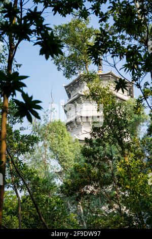 Shenzhen, China. Oktober 2019. Die Blessing Pagode im Shenzhen International Garden und Flower Expo Park. Die 52 m (171 ft) Segens Pagode hat die b Stockfoto