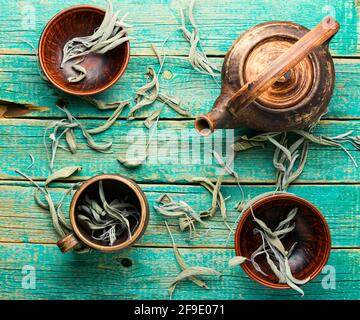 Kräutersalbei-Tee.trockenes Salbeiblatt.Kräutermedizin und Heilpflanzen. Stockfoto