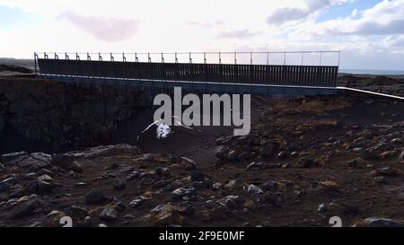 Blick auf die Brücke zwischen den Kontinenten, die die eurasische und die amerikanische tektonische Platte (Teil des Mid Atlantic Ridge, MAR) über eine Felsspalte verbindet. Stockfoto