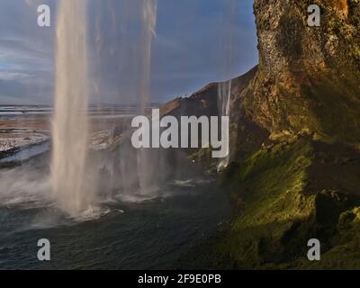 Atemberaubende Aussicht auf die majestätische Kaskade Seljalandsfoss, die sich an der Südküste Islands in der Nähe der Ringstraße befindet, von hinter dem Wasserfall am Abend. Stockfoto