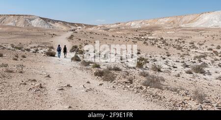 Eine Gruppe von Wanderern, die über den kargen Ramat Divshon wandern Hochebene über dem Zin-Tal in Israel mit einem klaren Blauer Himmel Hintergrund Stockfoto