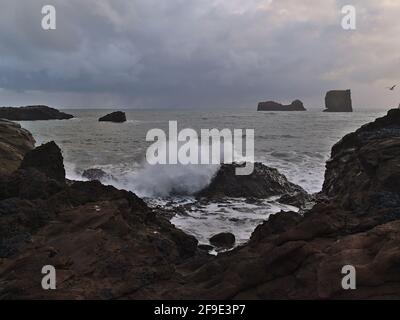 Raues Meer mit Wellenbrechung auf vulkanischem Gestein an der zerklüfteten Atlantikküste im Süden Islands auf der Halbinsel Dyrhólaey am Abend in der Wintersaison. Stockfoto