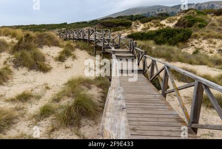 Holzsteg über grasbedeckte Sanddünen zum Strand von cala mesquida, mallorca Stockfoto