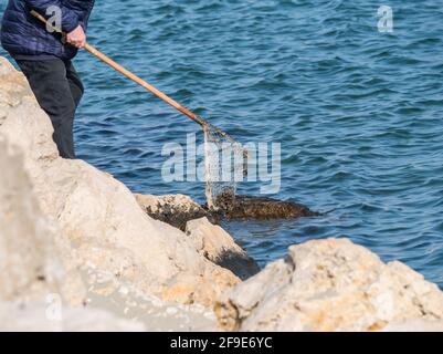 Mann mit Fischnetz, der Muscheln aus dem Meer sammelt Stockfoto