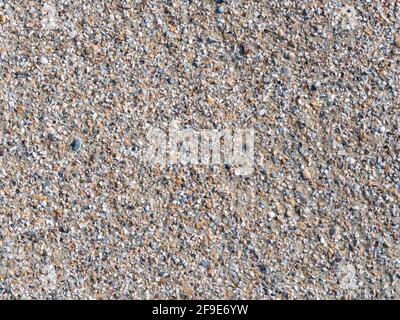 Verschiedene gebrochene Muscheln Fragmente auf dem Sandstrand. Hintergrundtextur mit kleinen Fragmenten von Muscheln Stockfoto