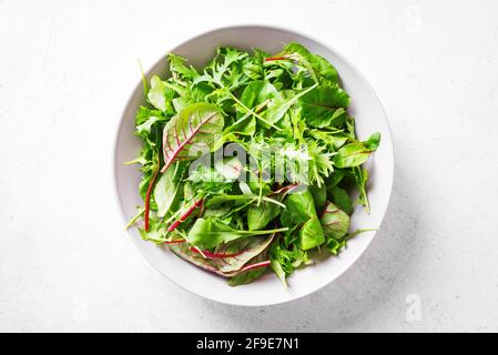 Gesunder grüner Salat, frische Bio-Blätter mischen Salat mit Rucola, schweizer Mangold und Salat auf weißem Hintergrund, Draufsicht, Kopierraum. Stockfoto