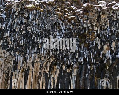 Nahaufnahme des Abhangs mit vulkanischen Basaltsäulen mit Eiszapfen in der Nähe des Svartfoss Wasserfalls im Skaftafell Nationalpark, Island, im Winter. Stockfoto