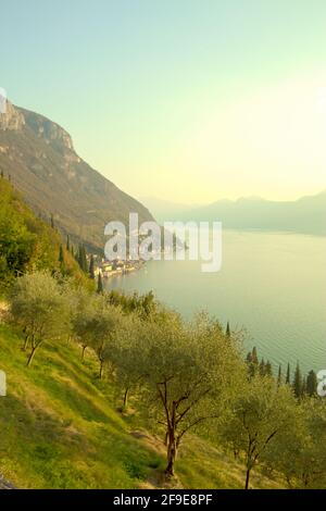 See in Italien, schöner Panoramablick. Leuchtend grüne Farben. Stockfoto