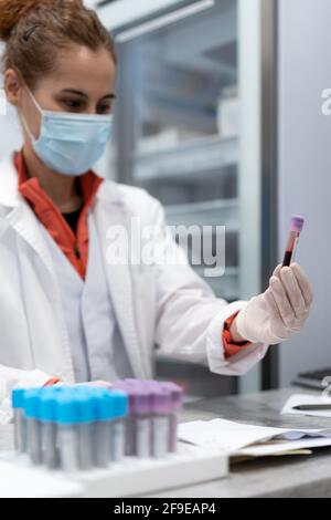 Weibliche Sanitäter in Maske und Handschuhen, die den Schlauch mit Blut halten Probe im modernen Labor in der Klinik Stockfoto