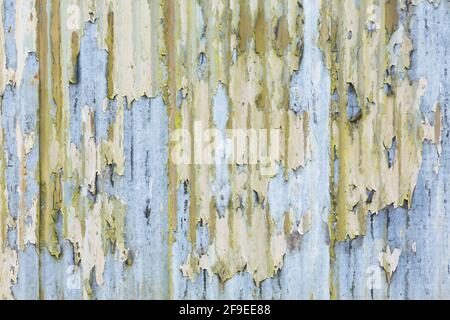Wellblech-Eisen-Textur mit abblätternder Farbe. Grunge, Vintage oder Urban Theme Hintergrund oder Vorlage, UK Stockfoto