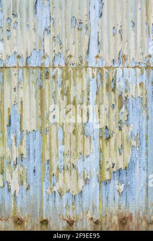 Gewellte Eisenstruktur oder -Muster. Dach mit Wellblechplatten mit abblätternder Farbe. Grunge, Vintage oder Urban Theme Hintergrund oder Vorlage, UK Stockfoto