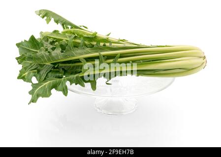 Chicorée catalogna, Bunch-Salat auf hellem Glasplatte, isoliert auf weißem Hintergrund Stockfoto