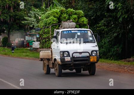 Arusha ist eine Stadt im Nordosten Tansanias und die Hauptstadt der Region Arusha, die sich unterhalb des Berges Meru am östlichen Rand des östlichen Zweiges von befindet Stockfoto