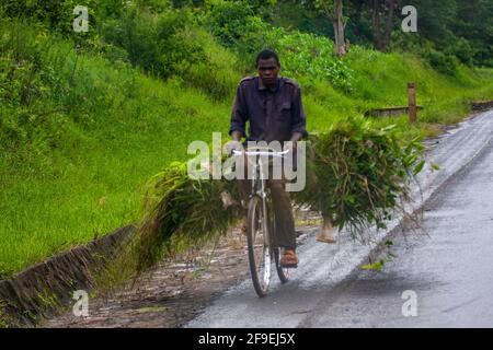 Arusha ist eine Stadt im Nordosten Tansanias und die Hauptstadt der Region Arusha, die sich unterhalb des Berges Meru am östlichen Rand des östlichen Zweiges von befindet Stockfoto