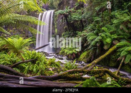 Hopetoun fällt in einen üppigen grünen Regenwald des Great Otway National Park in Victoria, Australien Stockfoto