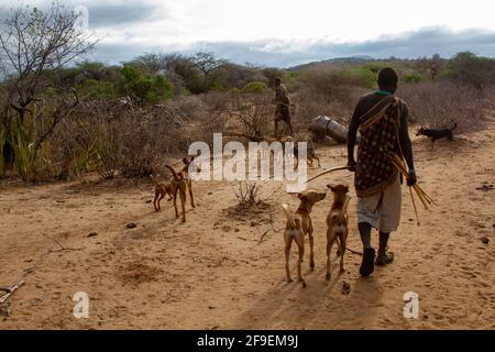 Hadzabe-Jäger auf einer Jagdexpedition. Die Hadza, oder Hadzabe, sind eine ethnische Gruppe im Nord-Zentral-tansania, die rund um den Eyasi-See im Zentrum lebt Stockfoto