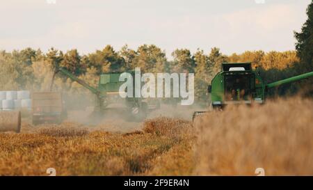 Warschau, Polen 10.08.2020 - Entladen von zwei Mähdreschern im goldenen Weizenfeld bei Tageslicht. Haystacks sind auf dem landwirtschaftlichen Feld zu sehen. Bäume im Hintergrund mit einem klaren weißen Himmel. Stockfoto