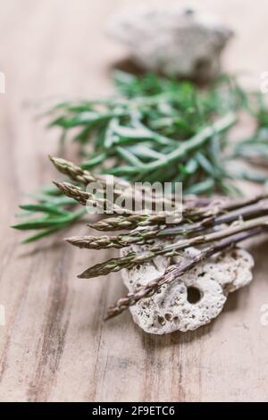 Wilder Spargel und Meerfenchel auf Holzbrett Stockfoto