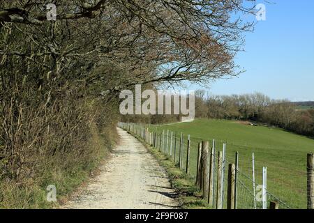 North Downs Way Waking Route auf den North Downs oberhalb von East Brabourne, Ashford, Kent, England, Großbritannien Stockfoto