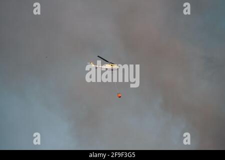 Feuerwehrleute eilen, um ein Feuer zu löschen, das durch Kiefern wütet Auf dem Tafelberg in der Nähe des Rhodes Memorial [Feuerwehrhubschrauber #capetownfire] Stockfoto