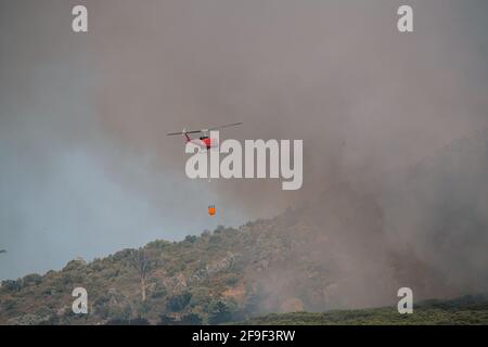 Feuerwehrleute eilen, um ein Feuer zu löschen, das durch Kiefern wütet Auf dem Tafelberg in der Nähe des Rhodes Memorial [Feuerwehrhubschrauber #capetownfire] Stockfoto