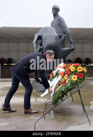 18. April 2021, Brandenburg, Oranienburg: Der Bundesminister des Auswärtigen, Heiko Maas (SPD), arrangiert im Rahmen der Zentralen Gedenkfeiern zum Befreiungstag die Bänder eines Kranzes der Bundesregierung auf der Gedenkstätte "Station Z" der Gedenkstätte Sachsenhausen bei Waldemar Grzimeks Figurengruppe. "Station Z" war der Name, den die SS einem Anfang 1942 errichteten Gebäude gab, das ein Krematorium und ein Ort der Vernichtung war. 'Z' als letzter Buchstabe des Alphabets stand zynisch für die letzte Station im Leben eines Gefangenen. Foto: Soeren Sache/dpa-Zentralbild/POOL/dpa Stockfoto